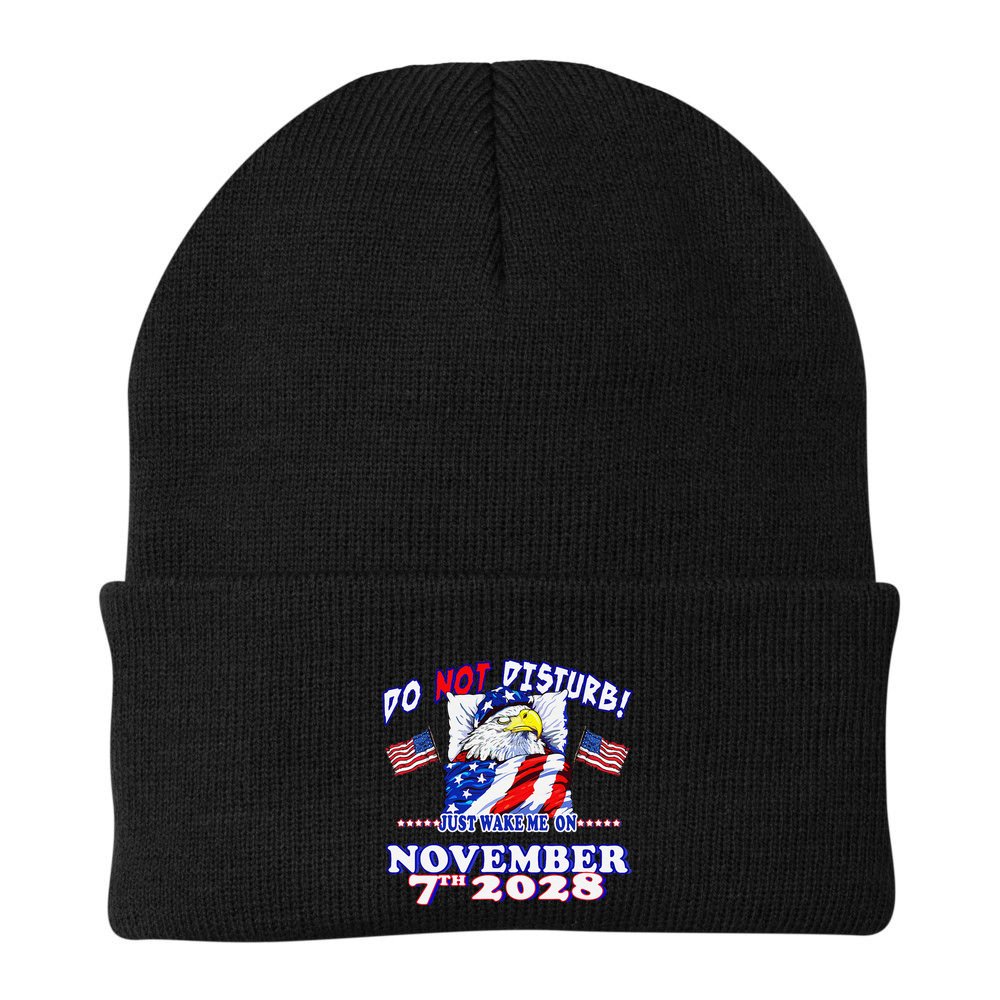 Pro Democracy Fourth July 4th Sarcastic Election Eagle 2028 Beanie