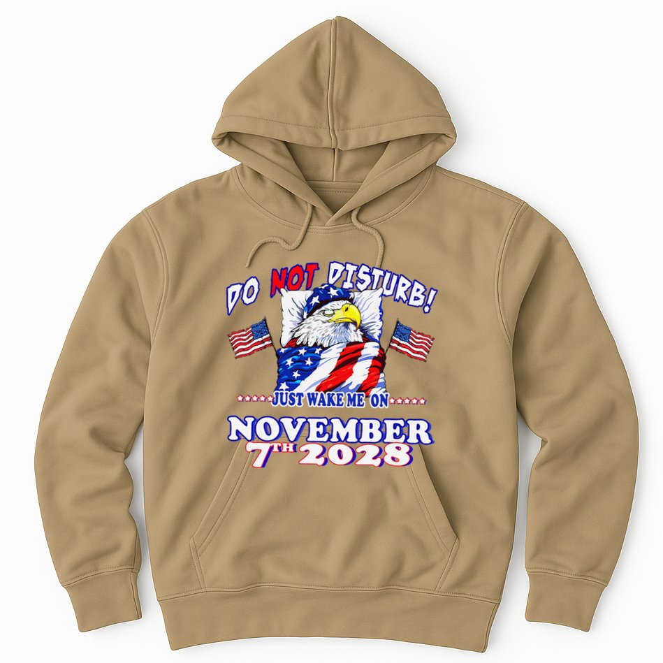 Pro Democracy Fourth July 4th Sarcastic Election Eagle 2028 Hoodie
