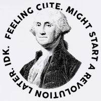 PresidentS Day George Washington Founding Feeling Cute Flat Bill Trucker Hat
