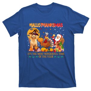 Poodle Dog Halloween Thanksgiving Happy Hallothanksmas Gift T-Shirt