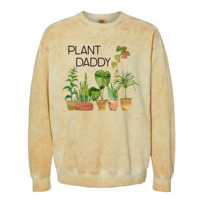 Plant Daddy House Plant Lover Monstera Dad Father Gift Cute Gift Colorblast Crewneck Sweatshirt