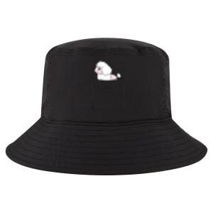 Poodle Dog In Pocket Funny Poodle Cool Comfort Performance Bucket Hat