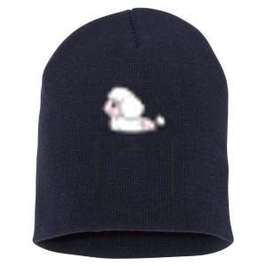 Poodle Dog In Pocket Funny Poodle Short Acrylic Beanie