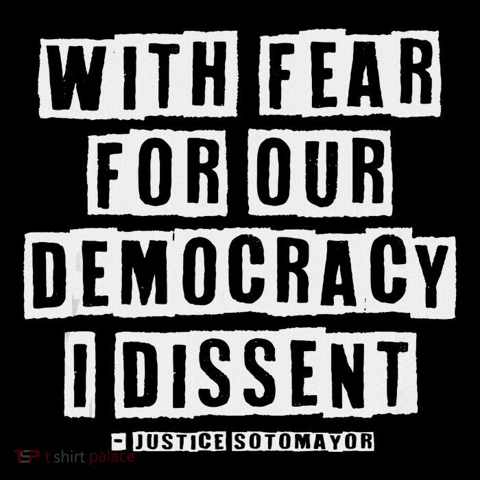 Pro Democracy I Dissent Strong Support Womens T-Shirt