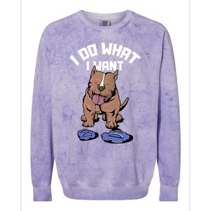 Pitbull Dog I Do What I Want Colorblast Crewneck Sweatshirt