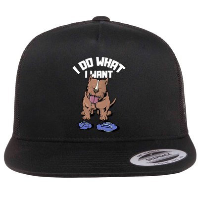 Pitbull Dog I Do What I Want Flatbill Hat