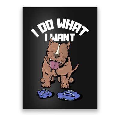 Pitbull Dog I Do What I Want Poster