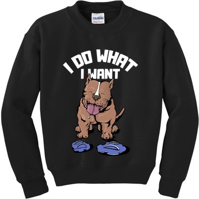 Pitbull Dog I Do What I Want Kids Sweatshirt