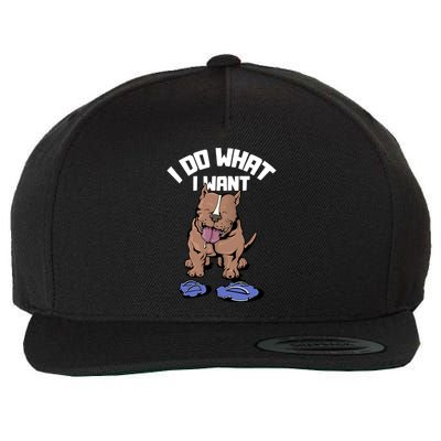 Pitbull Dog I Do What I Want Wool Snapback Cap