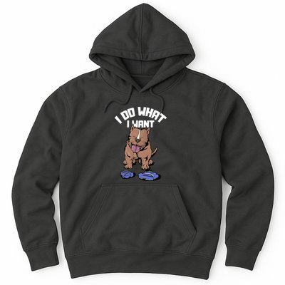 Pitbull Dog I Do What I Want Hoodie