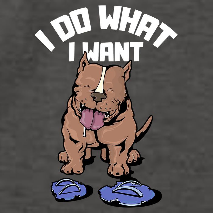 Pitbull Dog I Do What I Want Womens T-Shirt