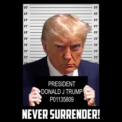 President Donald J Trump Mugshot Never Surrender T-Shirt