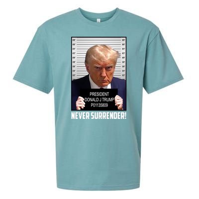 President Donald J Trump Mugshot Never Surrender Sueded Cloud Jersey T-Shirt