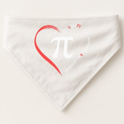 Pi Day Love Is Like Pi Valentines Math Teacher USA-Made Doggie Bandana