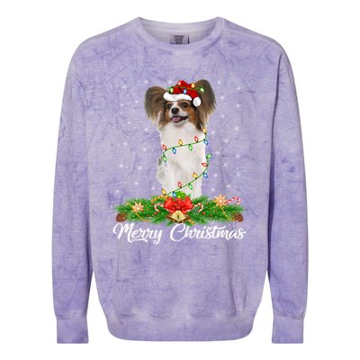 Papillon Dog Lover Matching Santa Hat Papillon Christmas Long Sleeve Colorblast Crewneck Sweatshirt