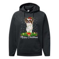 Papillon Dog Lover Matching Santa Hat Papillon Christmas Long Sleeve Performance Fleece Hoodie