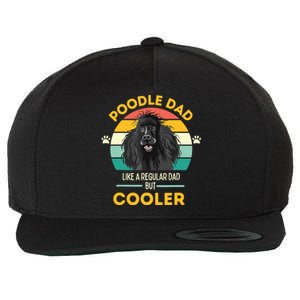 Poodle Dad Like A Regular Dad But Cooler Men Outfit Wool Snapback Cap