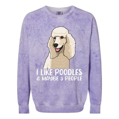 Poodle Dog Lover Poodle Art Tee Poodle Owner Colorblast Crewneck Sweatshirt