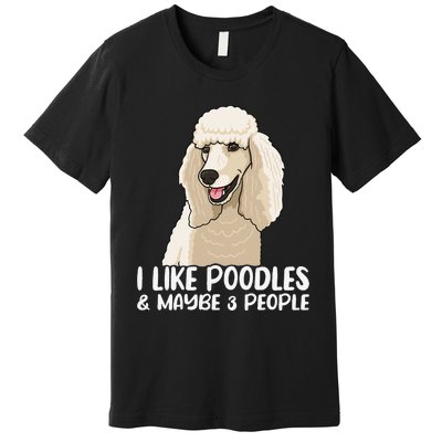 Poodle Dog Lover Poodle Art Tee Poodle Owner Premium T-Shirt