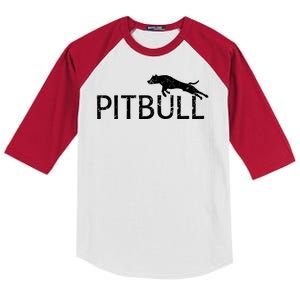 Pitbull Dog Logo Kids Colorblock Raglan Jersey