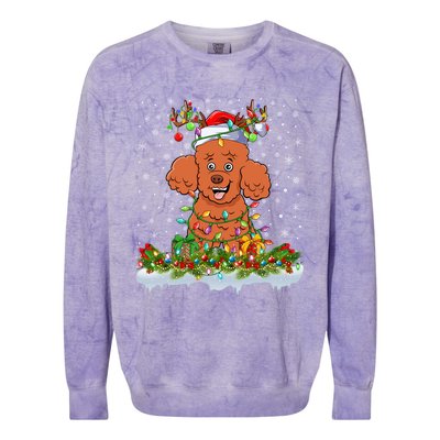 Poodle Dog Lover Xmas Lighting Santa Poodle Christmas Gift Colorblast Crewneck Sweatshirt