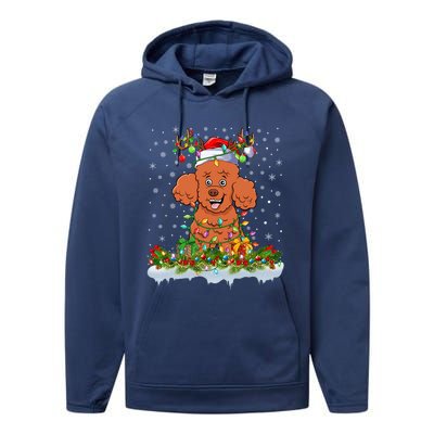 Poodle Dog Lover Xmas Lighting Santa Poodle Christmas Gift Performance Fleece Hoodie