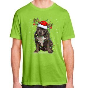 Pitbull Dog Lover Xmas Holiday Light Santa Pitbull Christmas Gift Adult ChromaSoft Performance T-Shirt