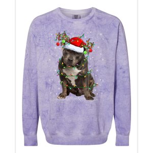 Pitbull Dog Lover Xmas Holiday Light Santa Pitbull Christmas Gift Colorblast Crewneck Sweatshirt