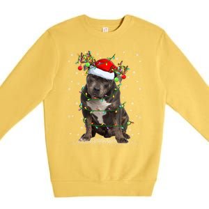 Pitbull Dog Lover Xmas Holiday Light Santa Pitbull Christmas Gift Premium Crewneck Sweatshirt