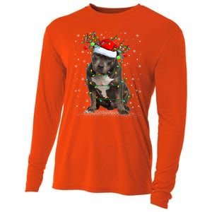 Pitbull Dog Lover Xmas Holiday Light Santa Pitbull Christmas Gift Cooling Performance Long Sleeve Crew