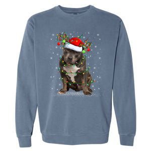 Pitbull Dog Lover Xmas Holiday Light Santa Pitbull Christmas Gift Garment-Dyed Sweatshirt