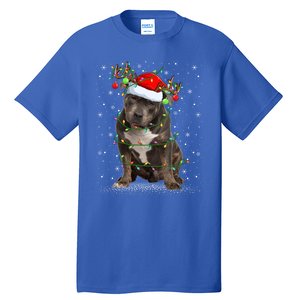 Pitbull Dog Lover Xmas Holiday Light Santa Pitbull Christmas Gift Tall T-Shirt