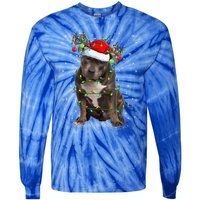 Pitbull Dog Lover Xmas Holiday Light Santa Pitbull Christmas Gift Tie-Dye Long Sleeve Shirt