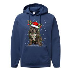 Pitbull Dog Lover Xmas Holiday Light Santa Pitbull Christmas Gift Performance Fleece Hoodie