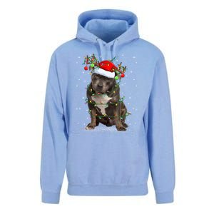 Pitbull Dog Lover Xmas Holiday Light Santa Pitbull Christmas Gift Unisex Surf Hoodie