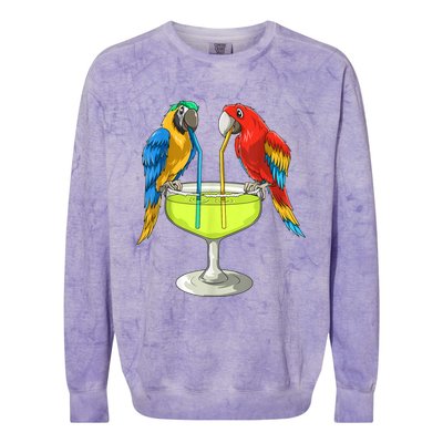 Parrots Drinking Margarita Hawaiian Vacation Beach Party Colorblast Crewneck Sweatshirt