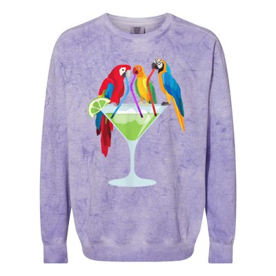 Parrots Drinking Margarita Tropical Vacation Hawaiian Birds Colorblast Crewneck Sweatshirt