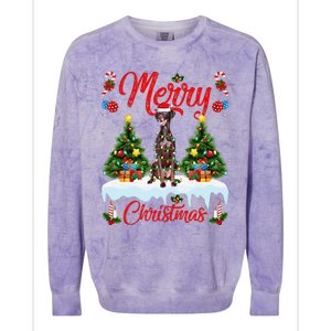 Pointing Dog Merry Christmas Tree Lighting Pointing Dog Xmas Colorblast Crewneck Sweatshirt