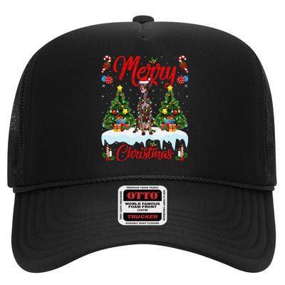 Pointing Dog Merry Christmas Tree Lighting Pointing Dog Xmas High Crown Mesh Back Trucker Hat