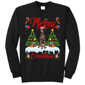 Pointing Dog Merry Christmas Tree Lighting Pointing Dog Xmas Sweatshirt