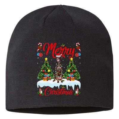 Pointing Dog Merry Christmas Tree Lighting Pointing Dog Xmas Sustainable Beanie