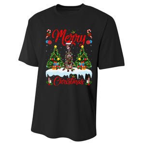 Pointing Dog Merry Christmas Tree Lighting Pointing Dog Xmas Performance Sprint T-Shirt