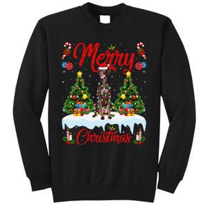 Pointing Dog Merry Christmas Tree Lighting Pointing Dog Xmas Tall Sweatshirt