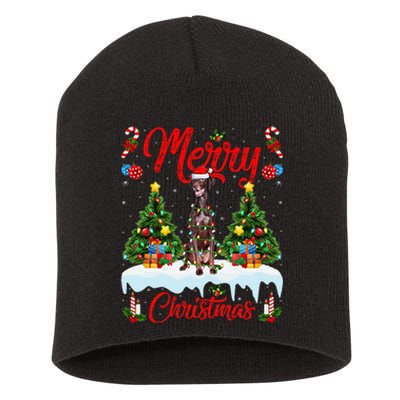 Pointing Dog Merry Christmas Tree Lighting Pointing Dog Xmas Short Acrylic Beanie