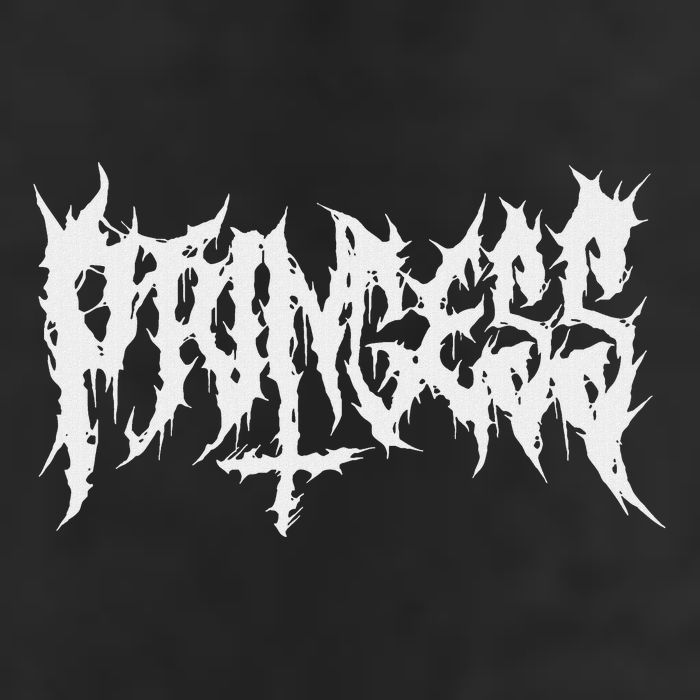 Princess. Death Metal Extreme Black Metal Band Women Beanie
