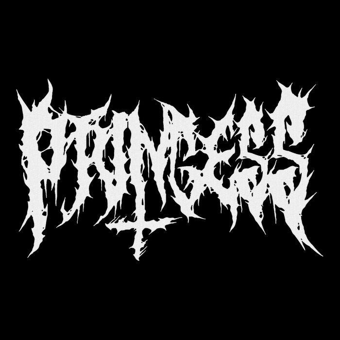 Princess. Death Metal Extreme Black Metal Band Women Toddler T-Shirt
