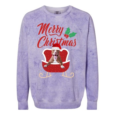 Pitbull Dog Merry Christmas Design For The Holiday Season! Colorblast Crewneck Sweatshirt