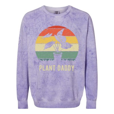 Plant Daddy Nature Botanical Gardener Plant Dad Gardening Colorblast Crewneck Sweatshirt