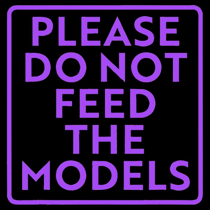 Please do not feed the models 7-Panel Snapback Hat