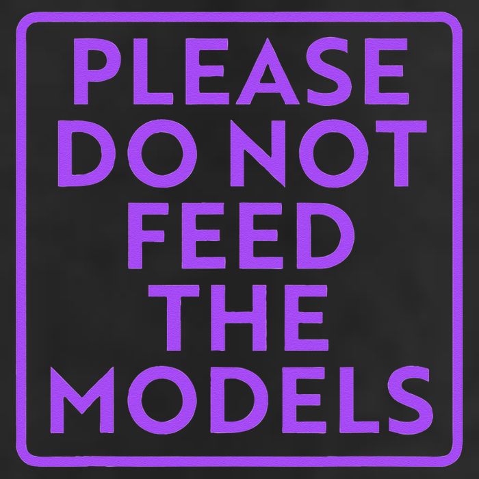 Please do not feed the models 25L Jumbo Tote